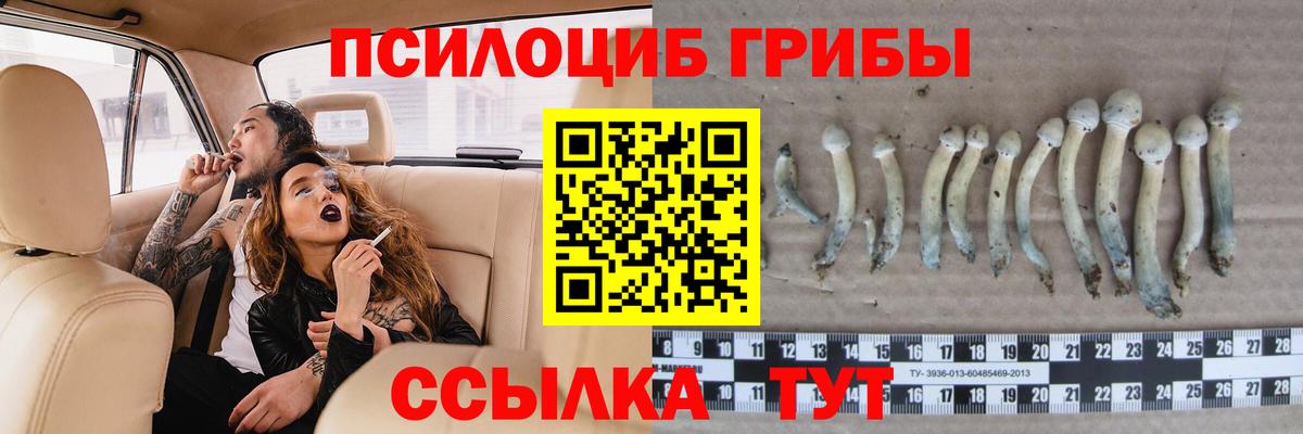 Псилоцибиновые грибы прущие грибы Малоярославец